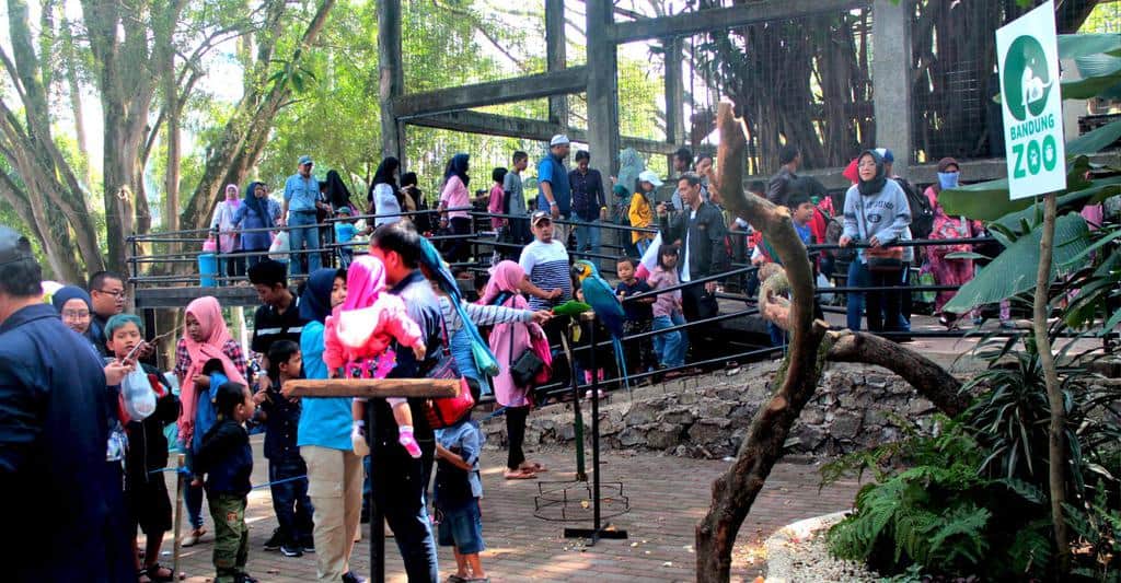 tempat wisata di bandung Kebun Binatang Bandung