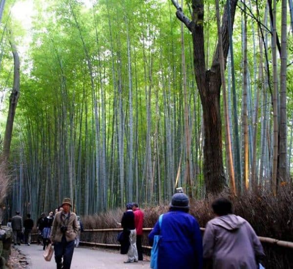 featured tempat wisata di surabaya 36 Tempat Wisata di Surabaya Wajib Anda Kunjungi featured tempat wisata di surabaya 36 Tempat Wisata di Surabaya Wajib Anda Kunjungi